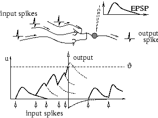 \centerline{\includegraphics[width=80mm]{SRM1b.eps}}